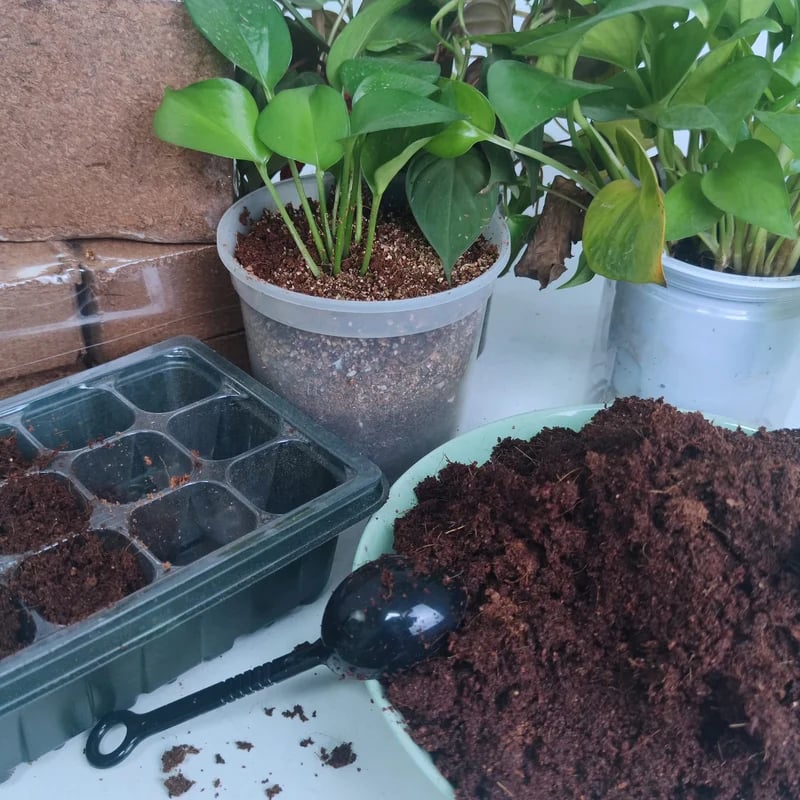 š„LAST DAY 49% OFFš±Premium Organic Coconut Coir Bricks for Plants