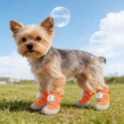 🔥The #1 Dog Shoes of 2026 — New Comfy Paw Shoes Now 40% OFF!