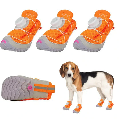 🔥The #1 Dog Shoes of 2026 — New Comfy Paw Shoes Now 40% OFF!