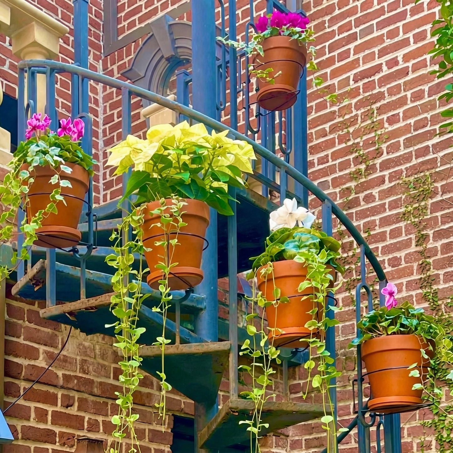 30-Second Install Railing Plant Hanger — No Tools Needed