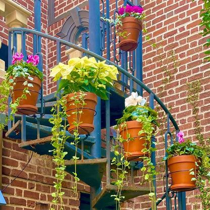 30-Second Install Railing Plant Hanger — No Tools Needed