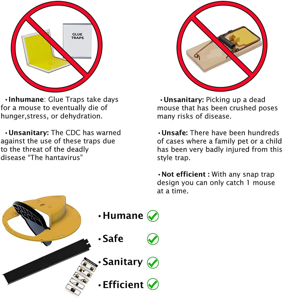 🎇2026 Spring Early Bird 30% off Promotion - Bucket Lid Mouse Trap